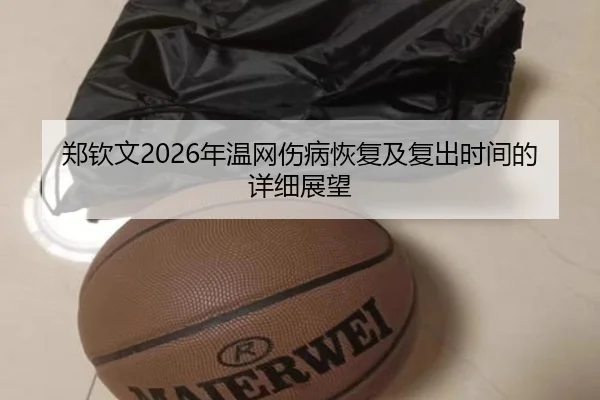 郑钦文2026年温网伤病恢复及复出时间的详细展望